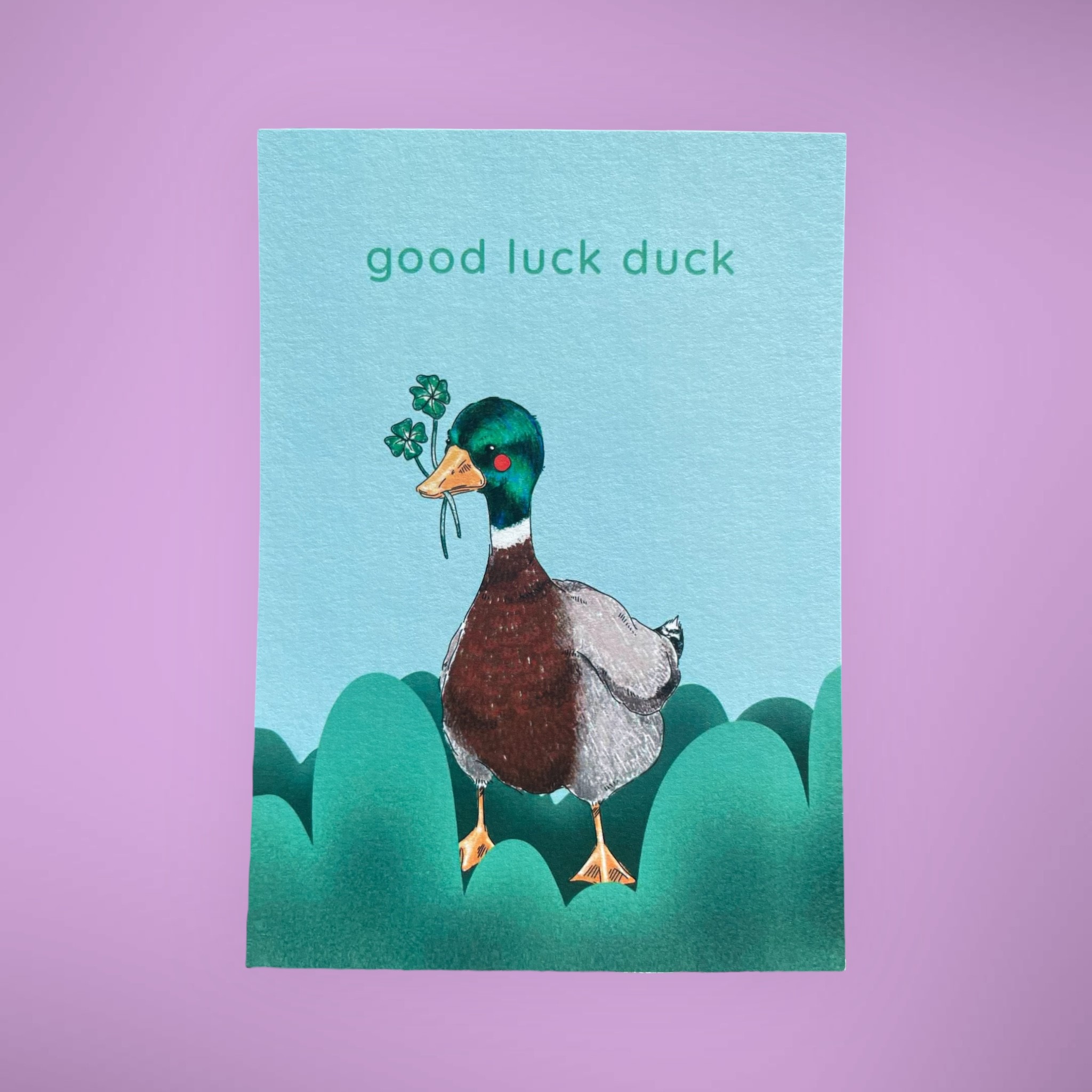 ARION ILLUSTRIERT - GRUSSKARTE GOOD LUCK DUCK 
