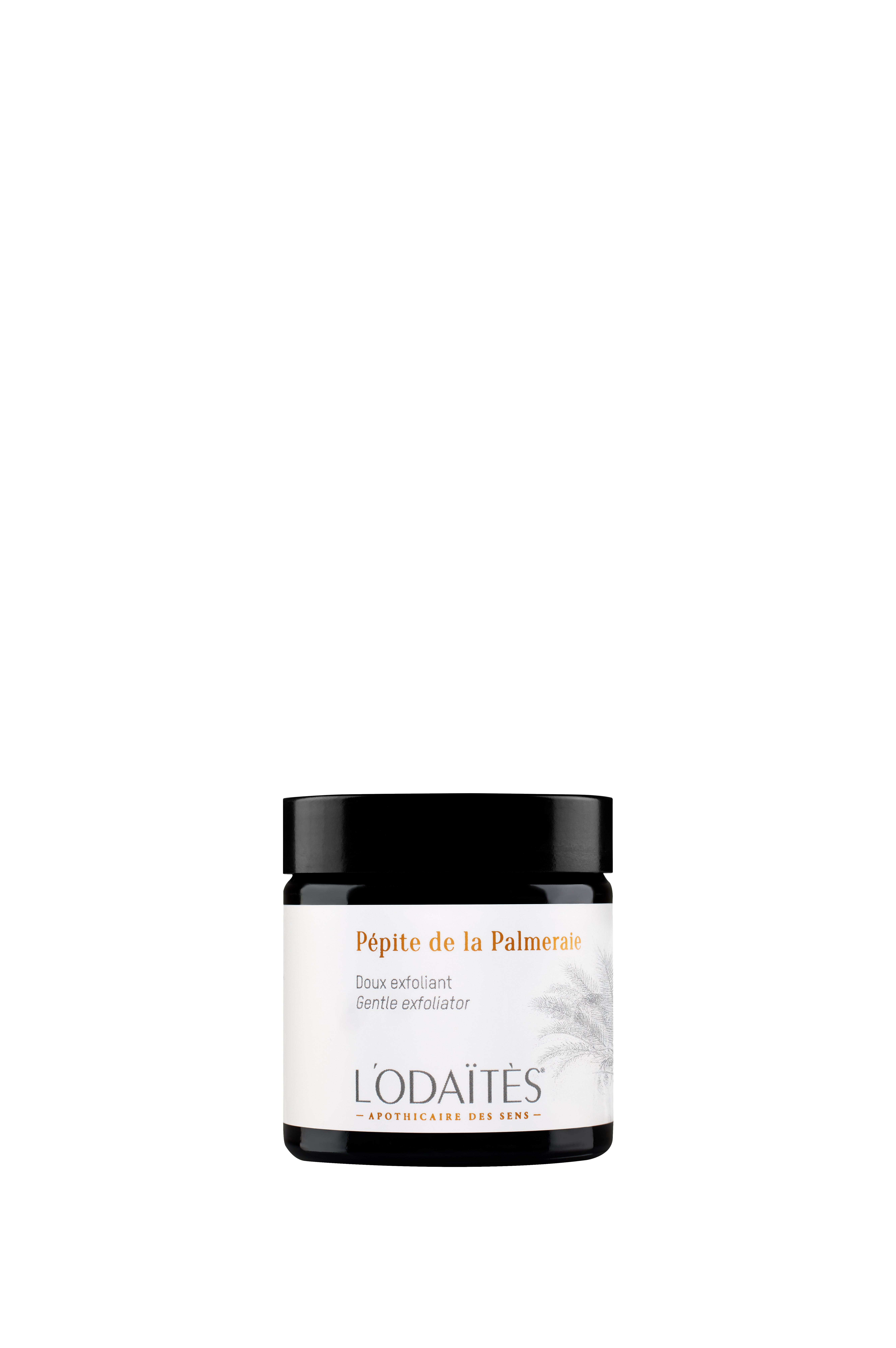 L’ODAÏTÈS PÉPITE DE LA PALMERAIE, GENTLE EXFOLIATOR